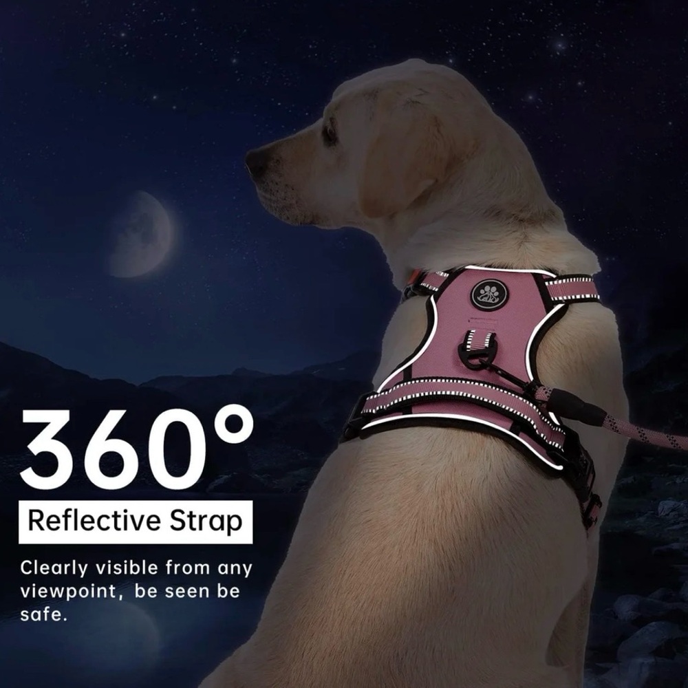 CLEAR OUT SALE! NWOT Plaid Padded Dog Harness with Matching Rope Leash Size L - Picture 11 of 17